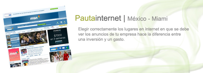 Pauta en Internet México