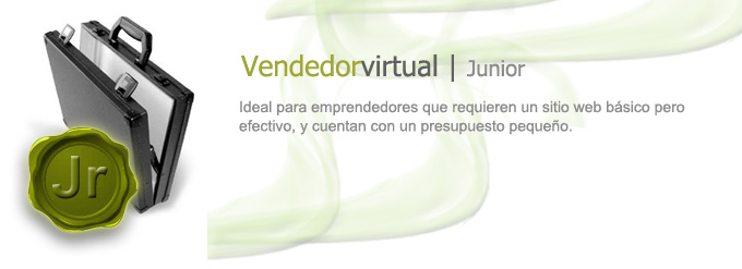 Diseño web - Posicionamiento Web - Vendedor Jr - México